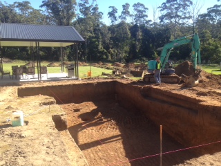 Billins dig1